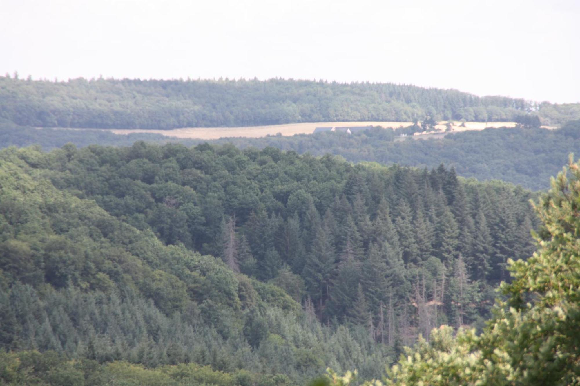 Haus Buchholz Lägenhet Liesenich Exteriör bild