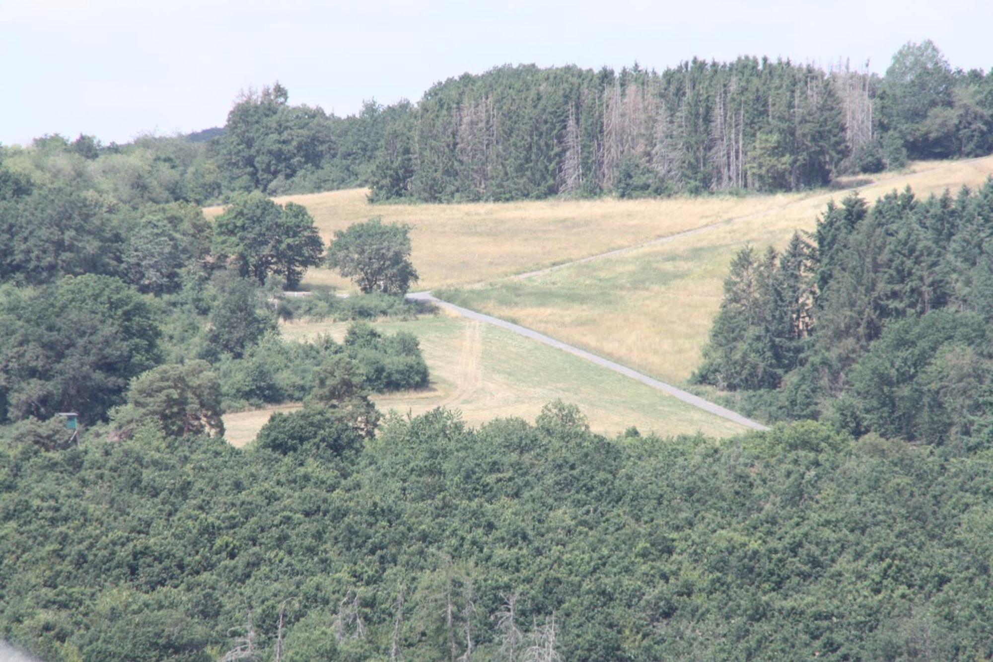 Haus Buchholz Lägenhet Liesenich Exteriör bild