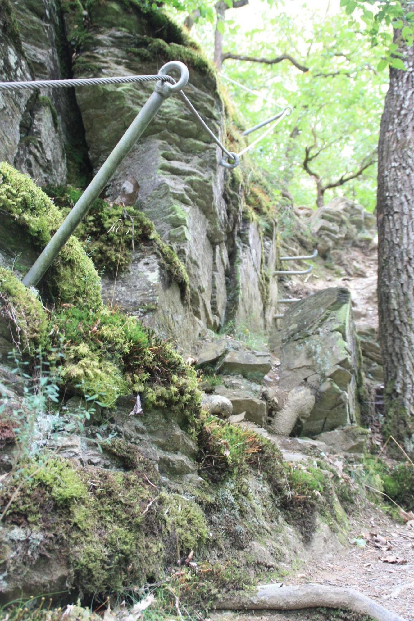 Haus Buchholz Lägenhet Liesenich Exteriör bild