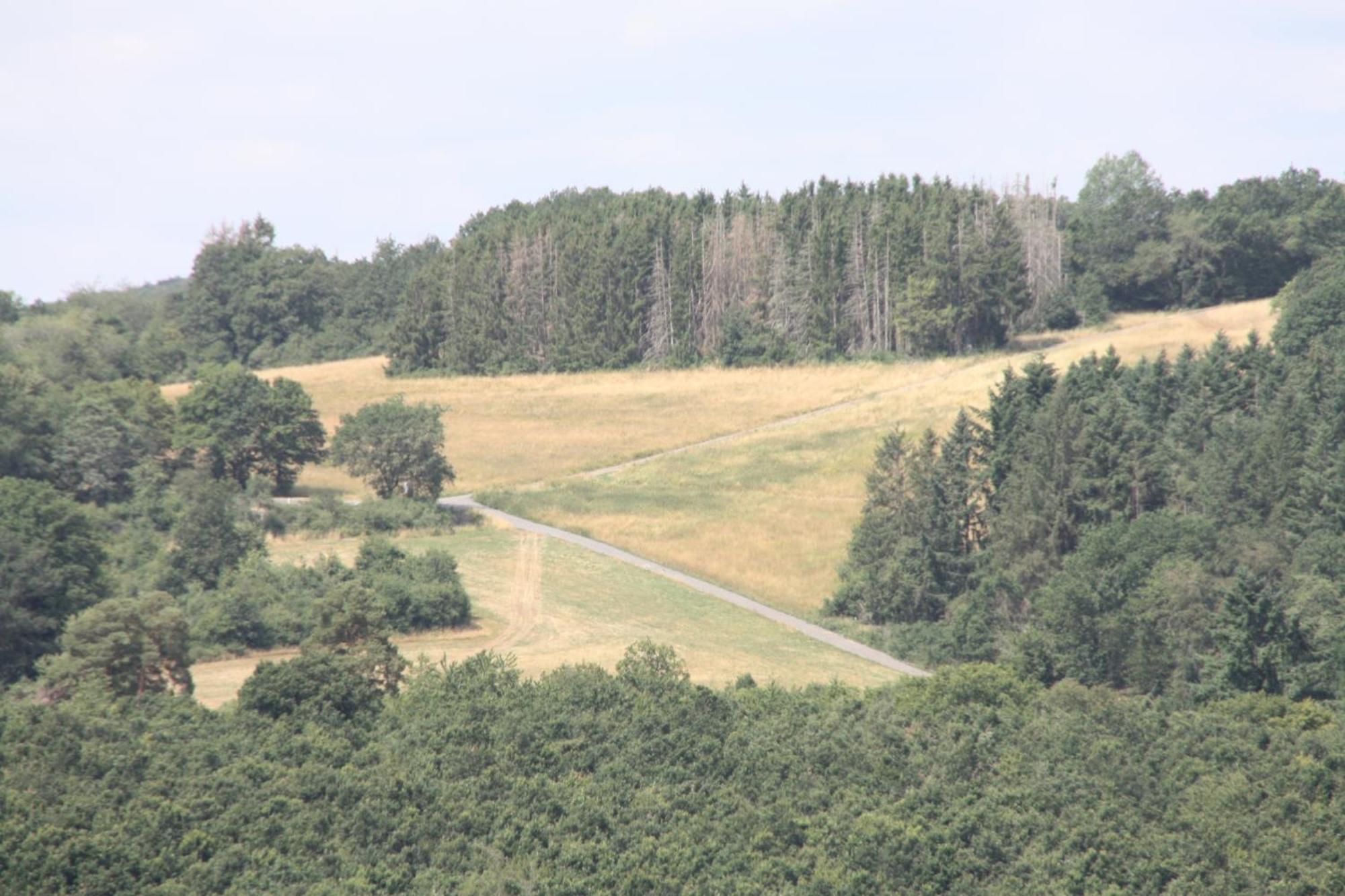 Haus Buchholz Lägenhet Liesenich Exteriör bild